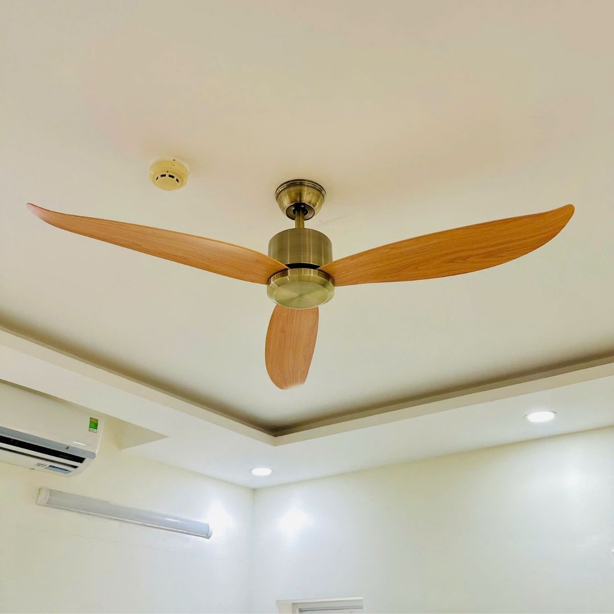 BNN- Quạt Trần Cánh Nhựa ABS Ø1320 | QT37